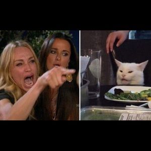 Meet your Posher, Ant